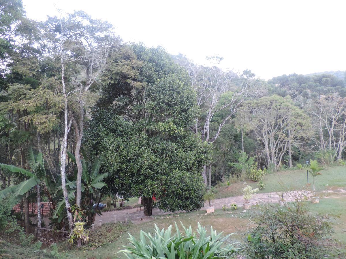 Sitio Hortensias Chales