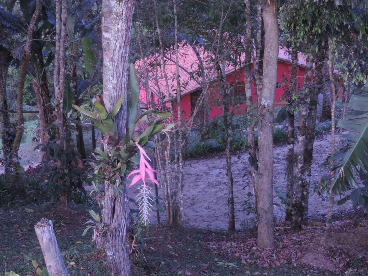 招待所 Sitio Hortensias Chales Conceição da Ibitipoca