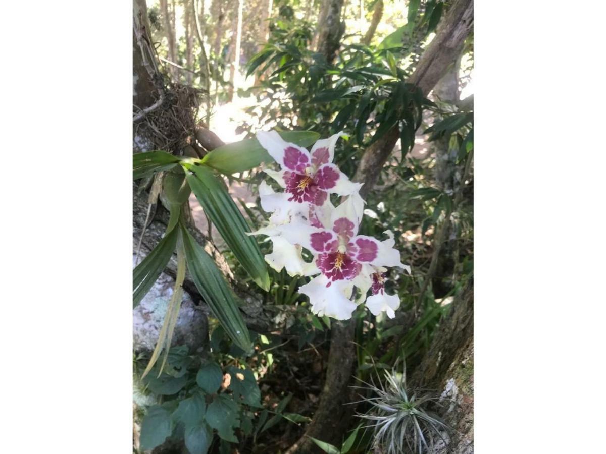 Sitio Hortensias Chales 招待所